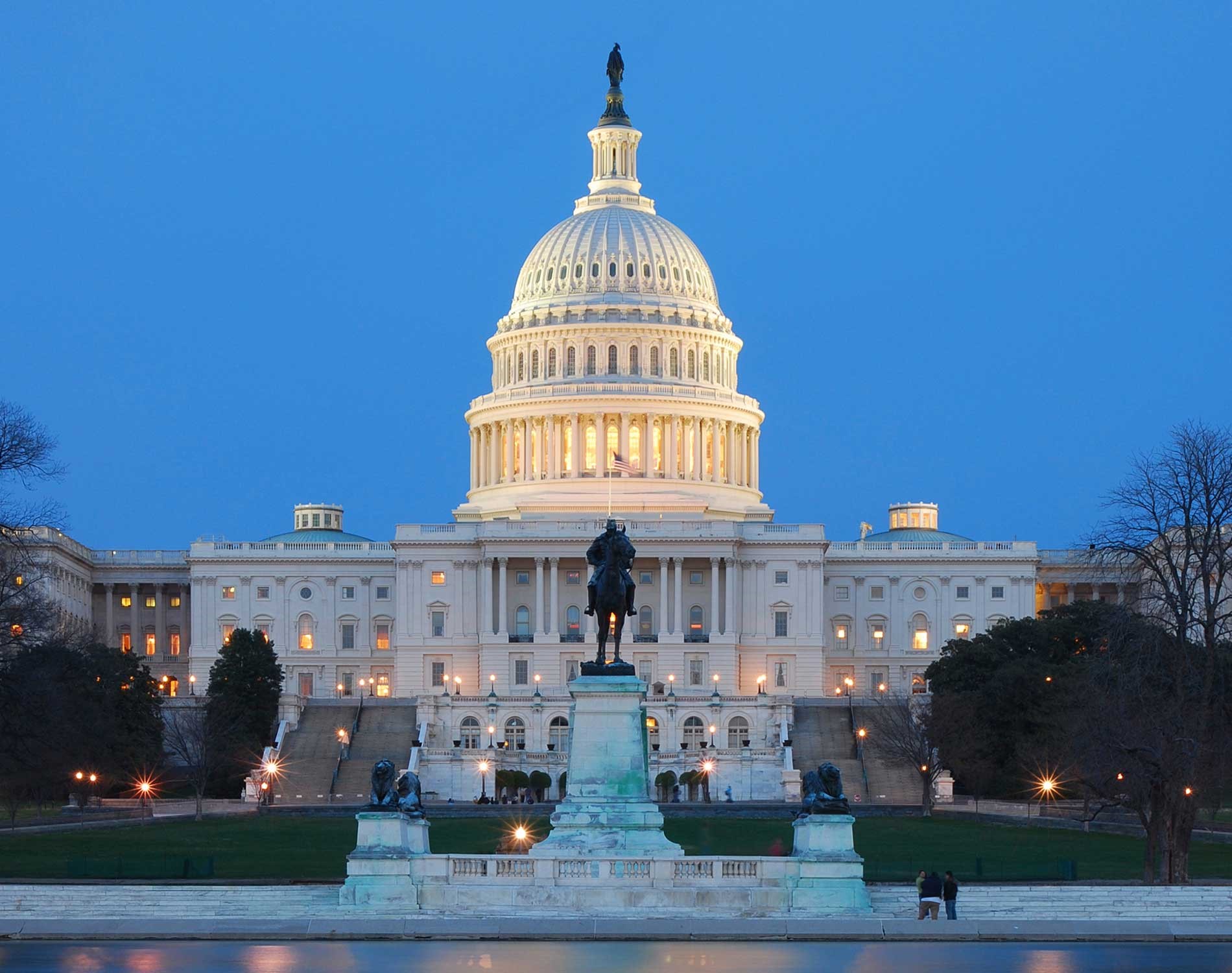 Professional woman with silver hair